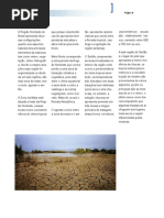 Biomas Brasileiros - Parte 3