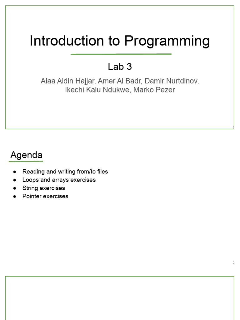 Programming Basics: Files, Loops, Pointers | PDF | Pointer (Computer ...