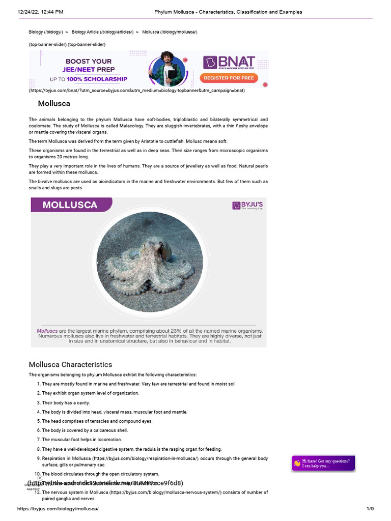 Mollusca: Characteristics and Classification | PDF | Mollusca | Molluscs