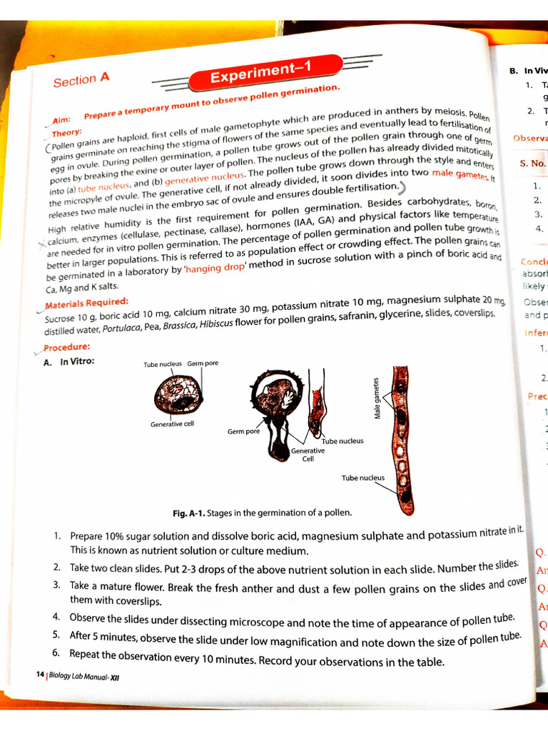 Biology Experiment | PDF