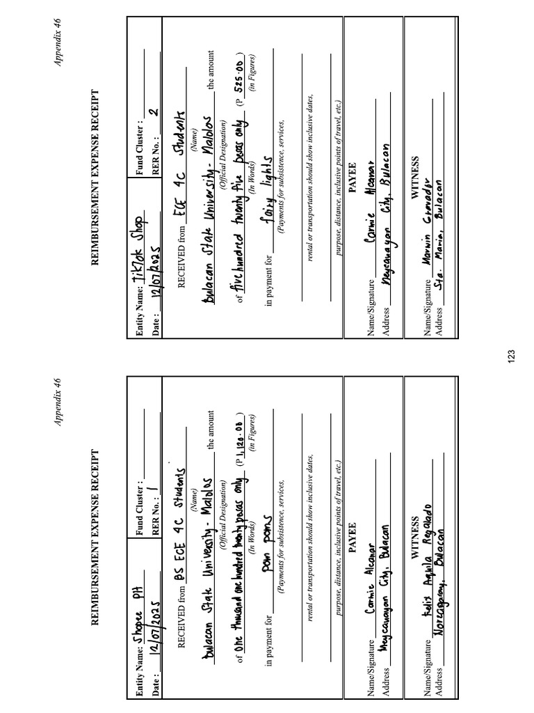 RER Template | PDF
