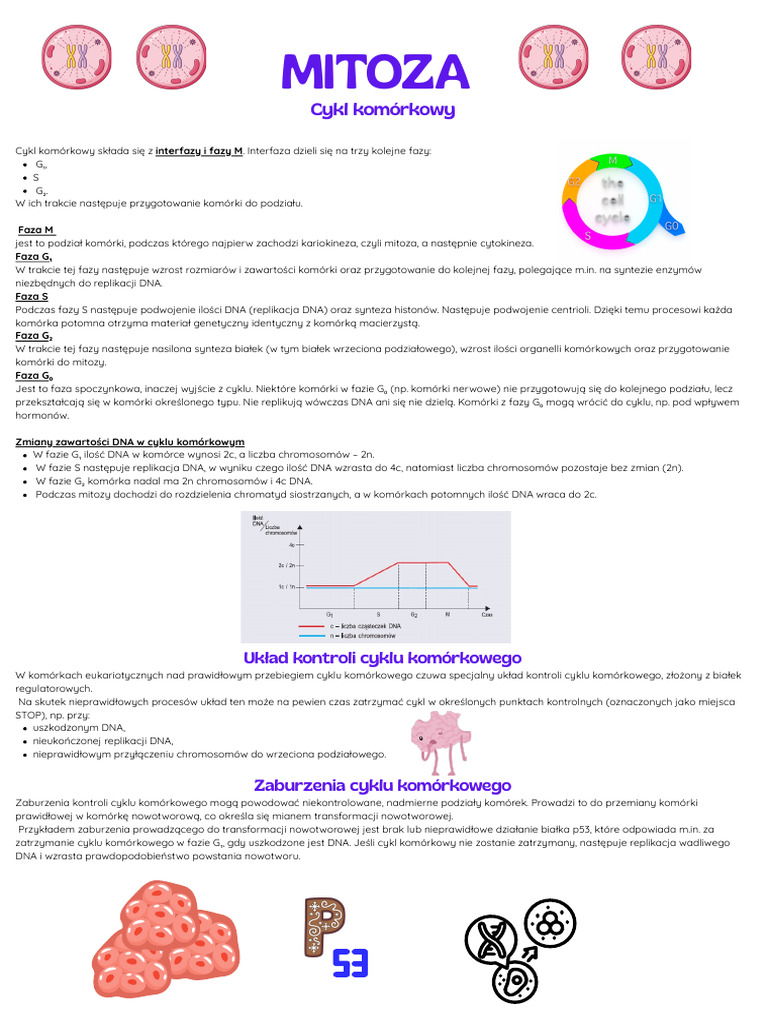 MITOZA | PDF