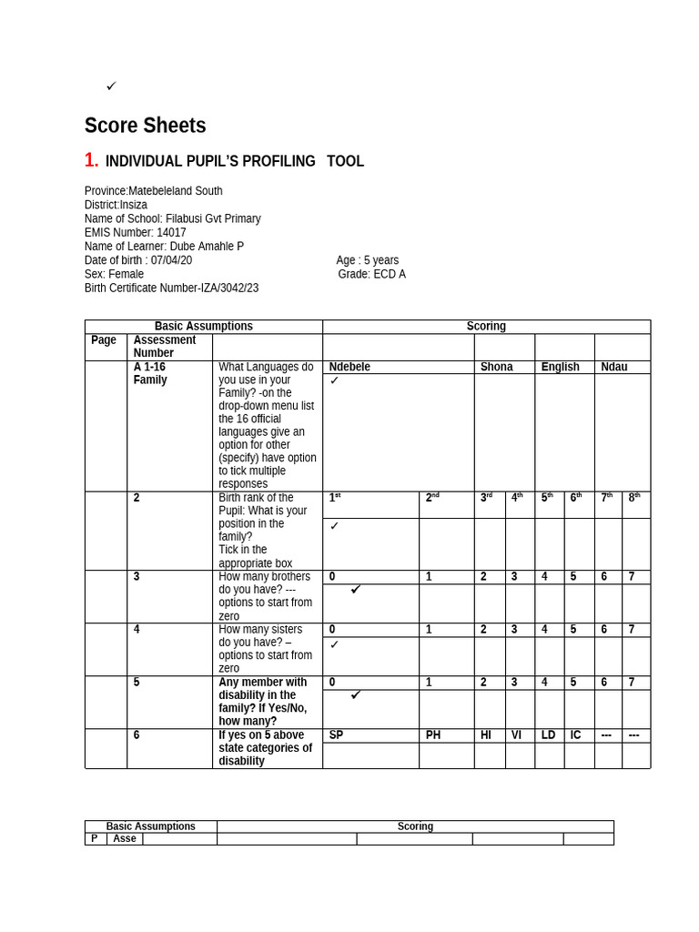 Pupil Profiling Tool for ECD Assessment | PDF | Literacy | Attention