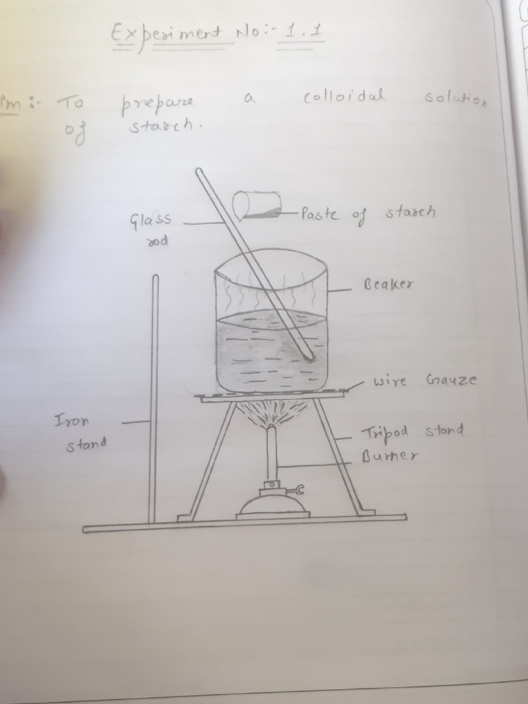 Chemistry 12 Practical File | PDF