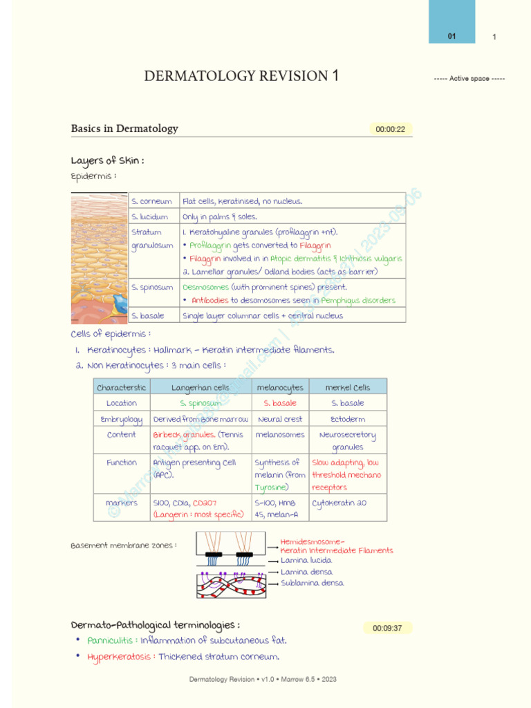 Comprehensive Dermatology Revision Guide | PDF | Psoriasis | Dermatitis