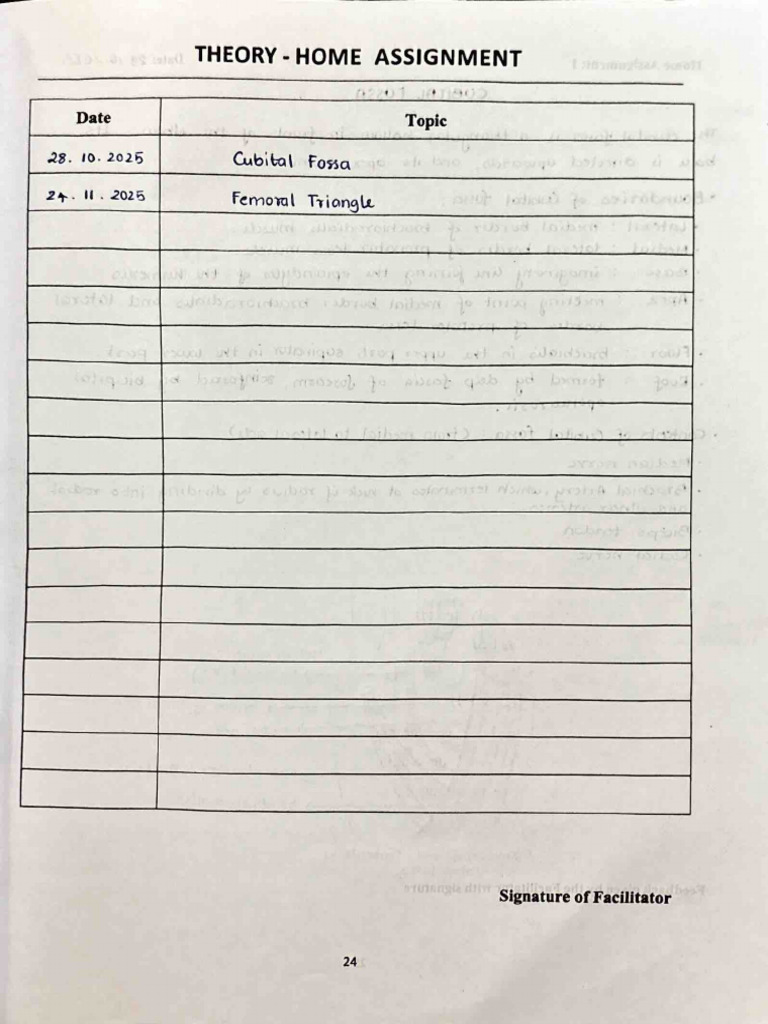Anatomy - Academic Record | PDF