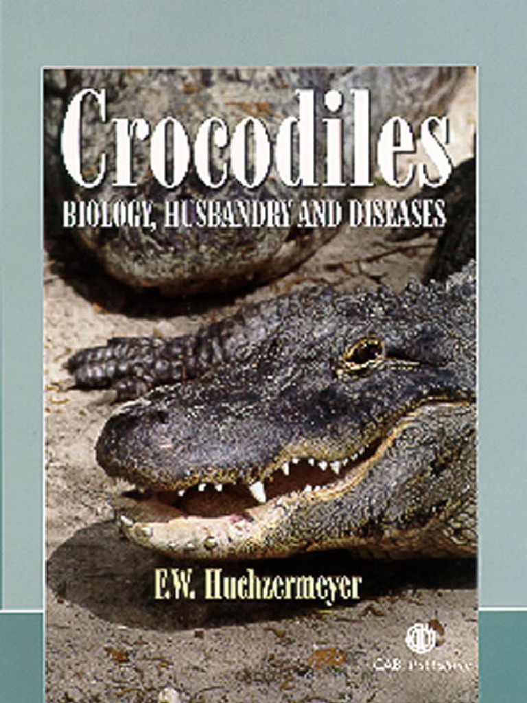 Crocodiles - Biology, Husbandry and Diseases | Stomach | Aorta