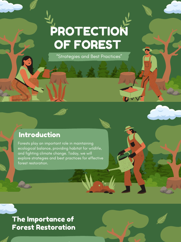 Green Illustrative Forest Restoration Presentation (1) | PDF