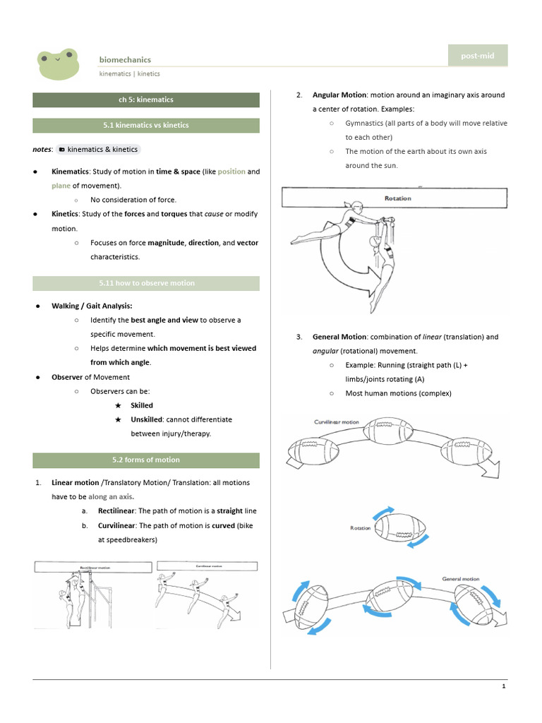 Kinematics and Kinetics in Biomechanics | PDF | Anatomical Terms Of ...