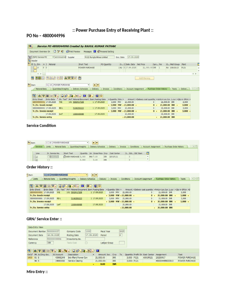 Power Purchase and Sale Entry Guide | PDF