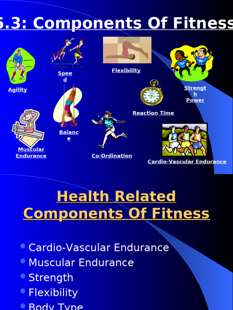 Components of Fitness Explained | PDF | Flexibility (Anatomy ...