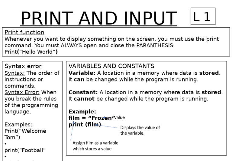 Print Function and Variables Explained | PDF