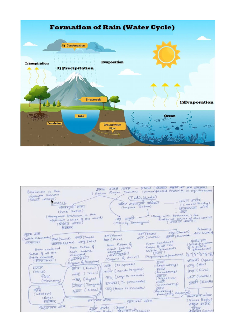 Water Cycle | PDF