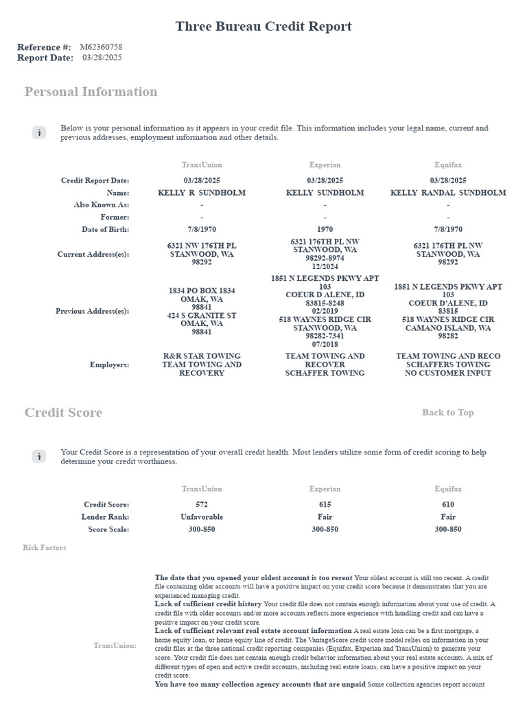 Comprehensive Credit Report Summary | PDF | Credit History | Credit