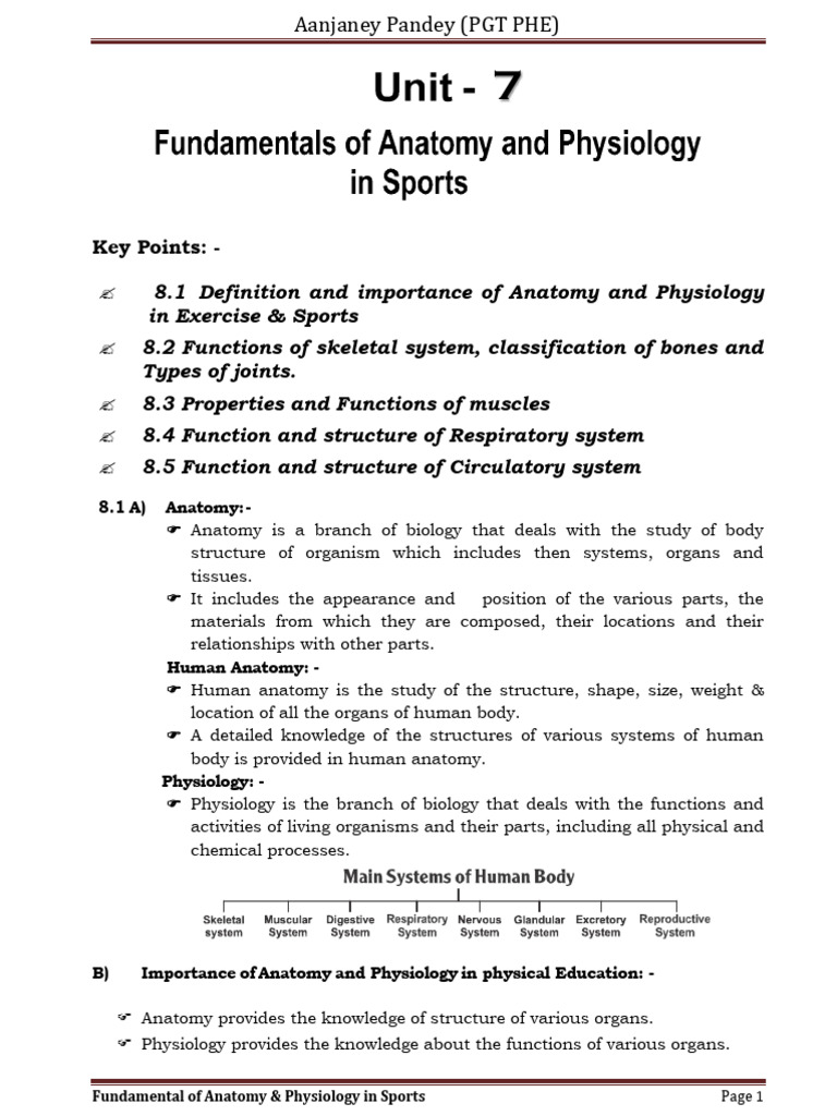 Anatomy & Physiology in Sports | PDF | Artery | Respiratory System