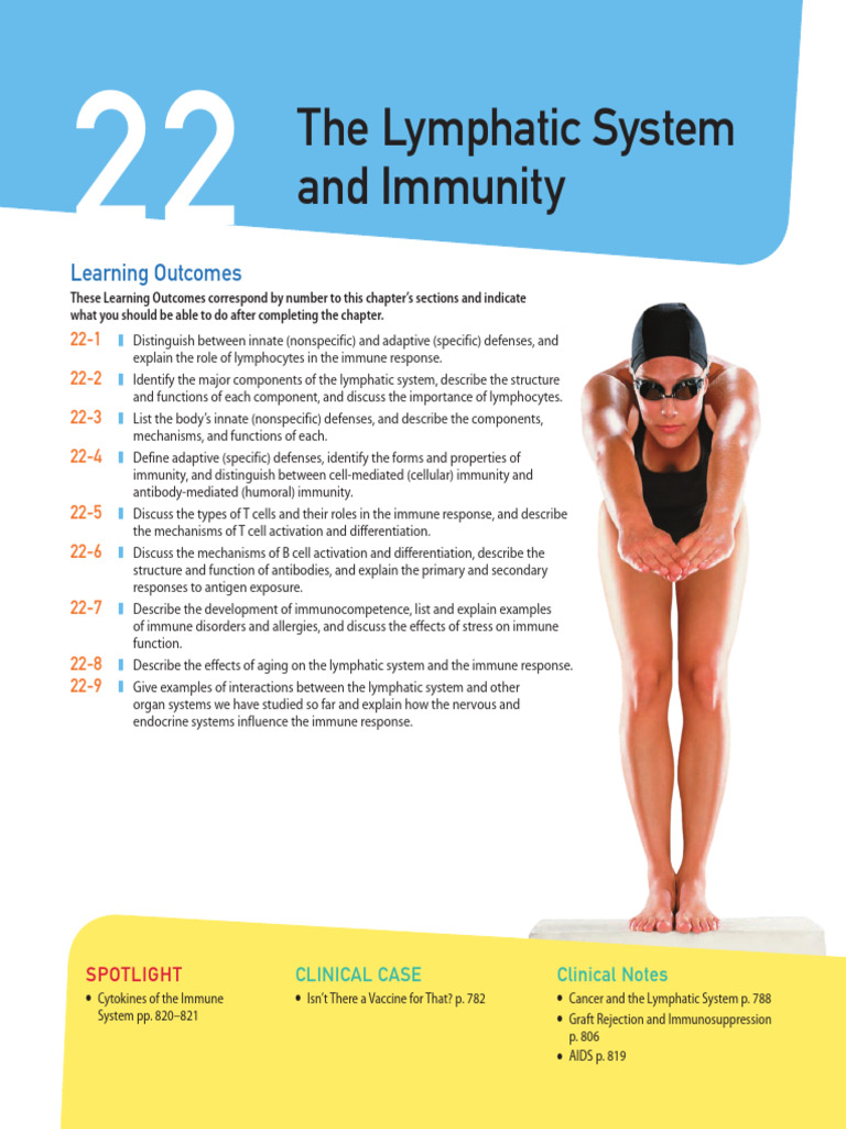 Lymphatic System | PDF | Lymphatic System | Lymph