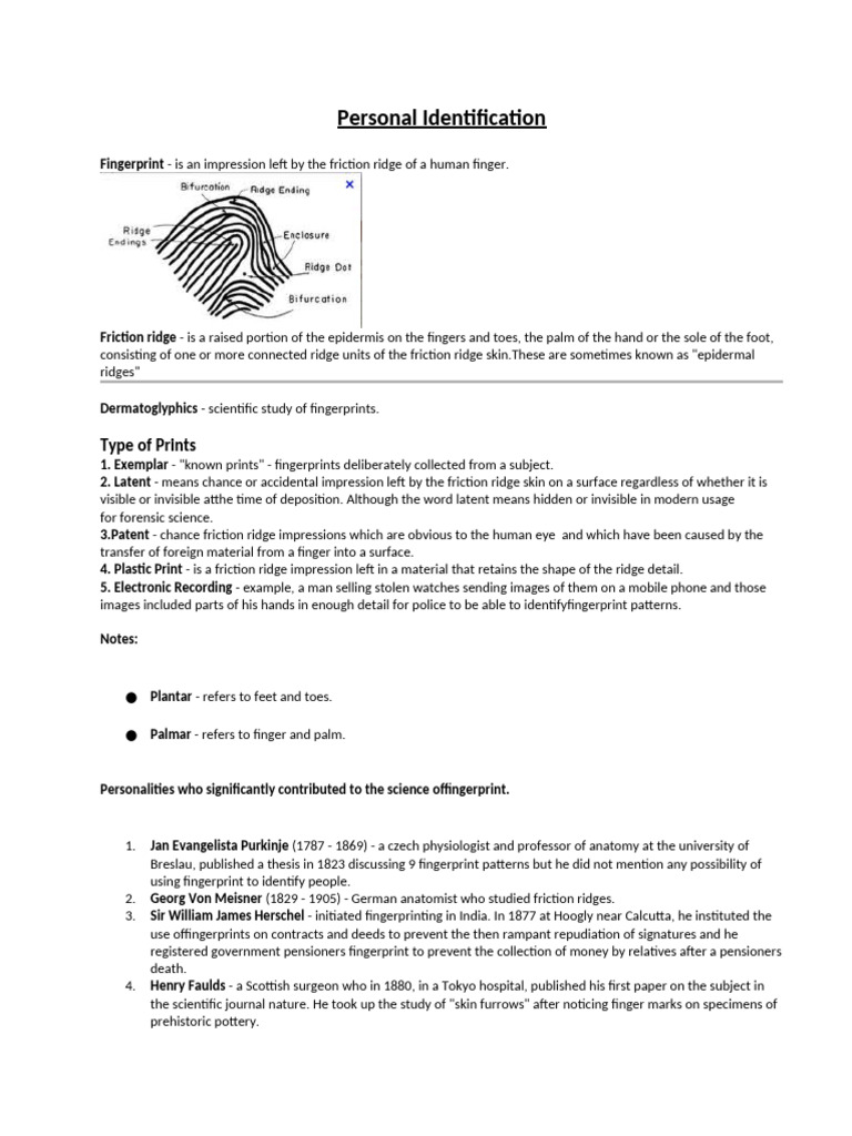 Understanding Fingerprints and Their Types | PDF | Fingerprint | Biometrics