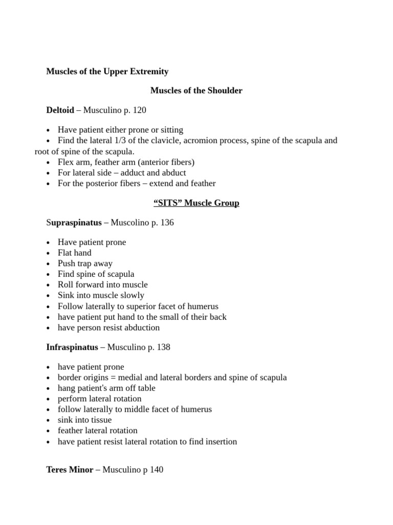 Upper Extremity Muscle Anatomy Guide | PDF | Thumb | Hand