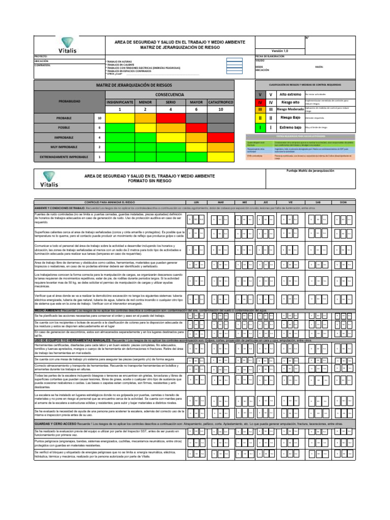 Matriz de Riesgos y Controles Laborales | PDF