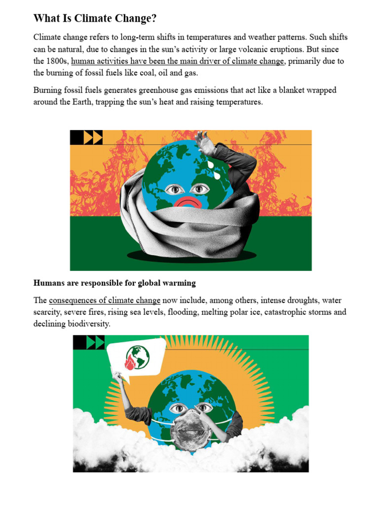 Understanding Climate Change Causes & Effects | PDF