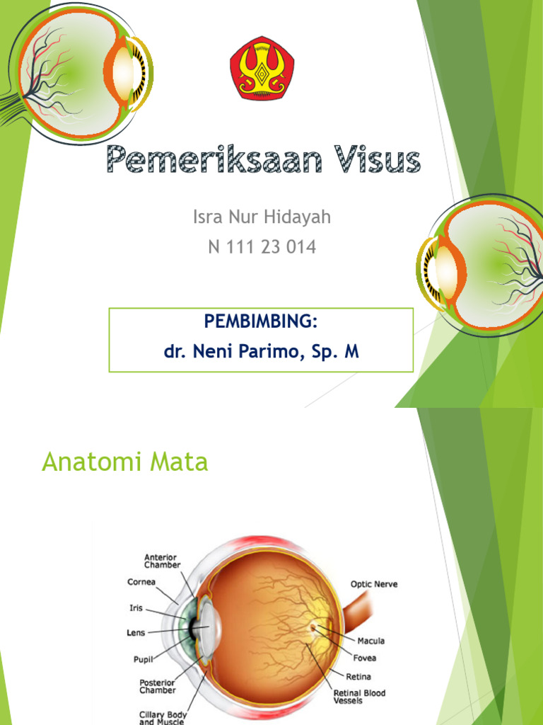 Panduan Pemeriksaan Visus Mata | PDF