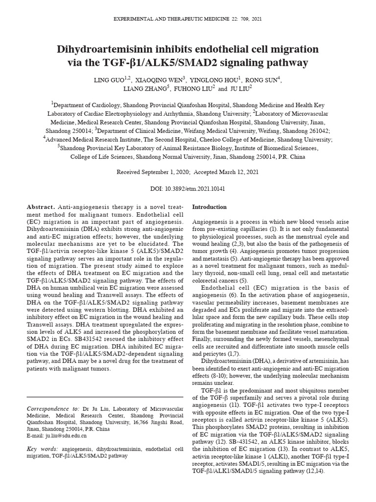 Dihydroartemisinin Inhibits EC Migration | PDF | Angiogenesis | Medical ...
