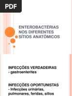 2 doenças causadas por enterobactérias