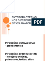 2 doenças causadas por enterobactérias