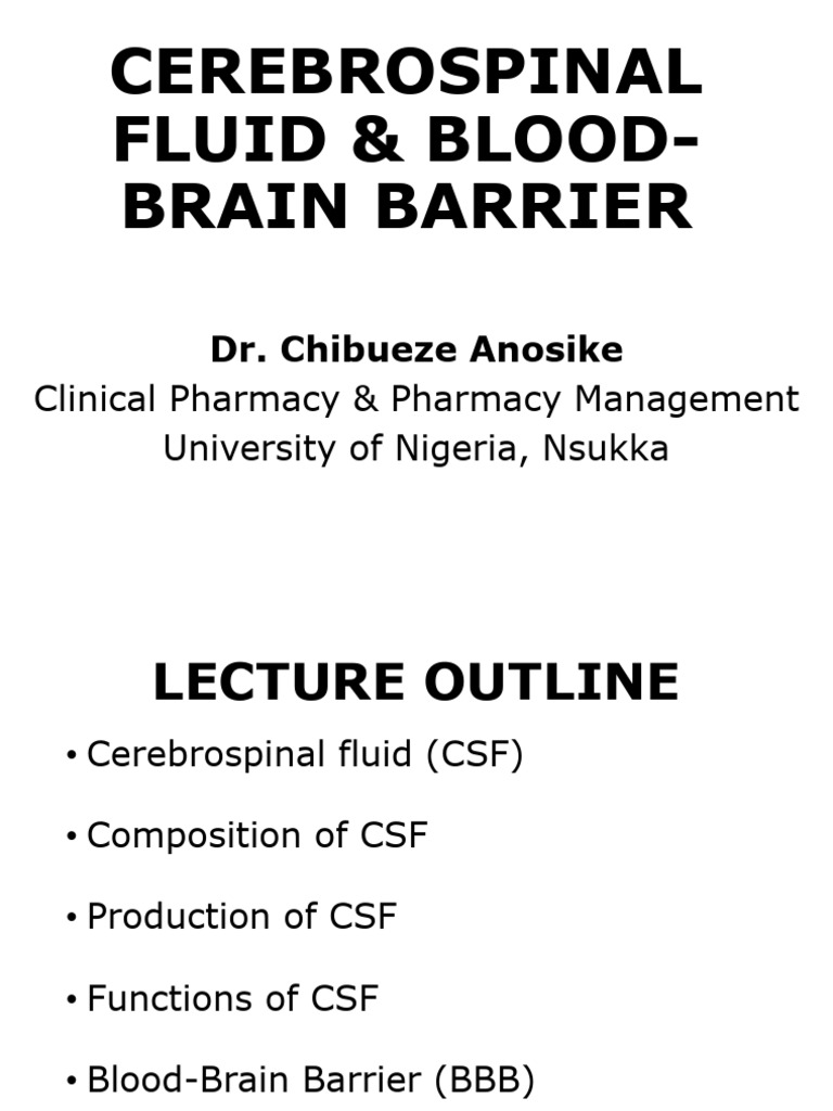CSF and Blood-Brain Barrier Overview | PDF | Cerebrospinal Fluid | Cell ...