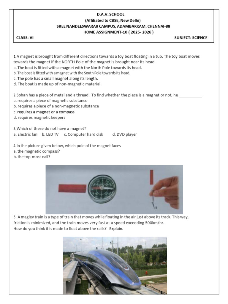 Class VI Science Magnetism Assignment | PDF | Magnetism | Magnet