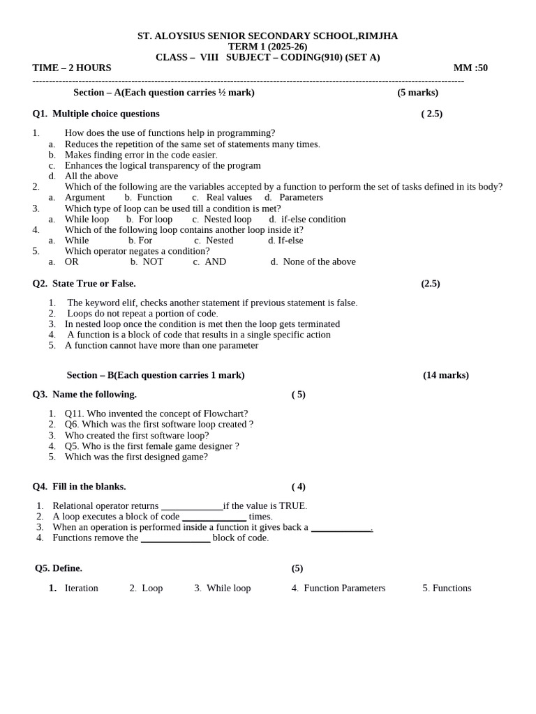 Coding Exam Paper for Class VIII | PDF | Control Flow | Parameter ...