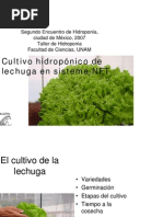Manual De Hidroponia Gob Mx