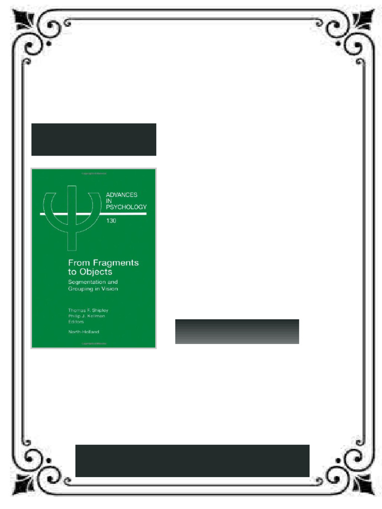 From Fragments To Objects Segmentation and Grouping in Vision 1st ...