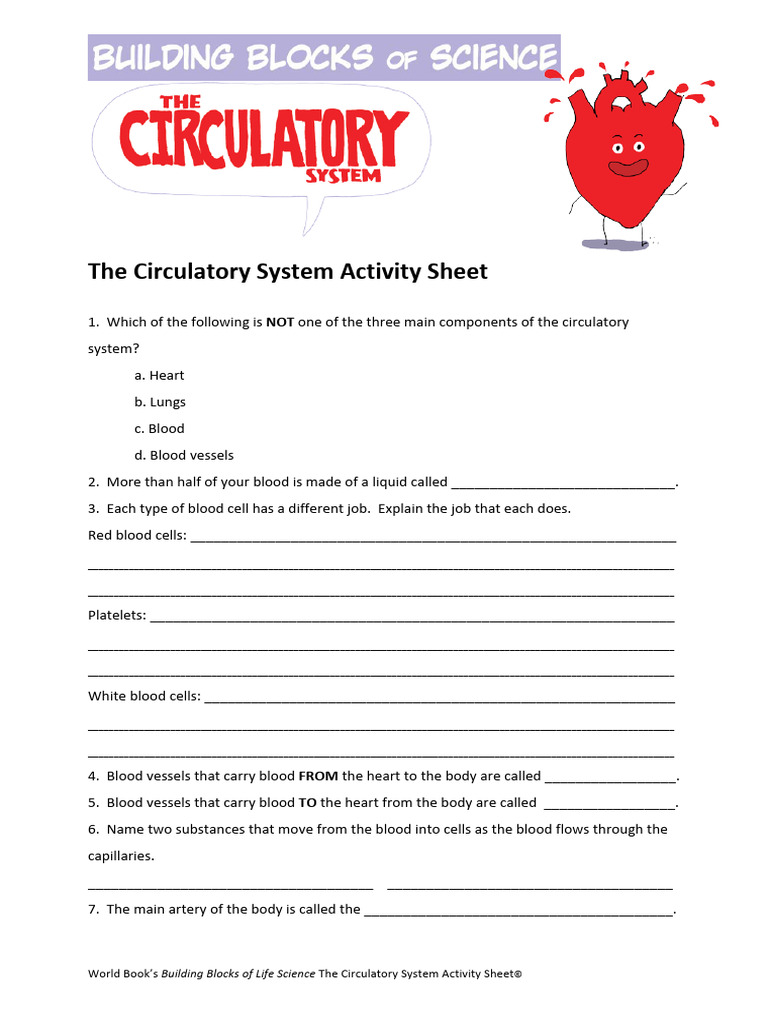 Worksheet-Circulatory Activity Sheet (2) - 4 | PDF | Blood | Blood Vessel