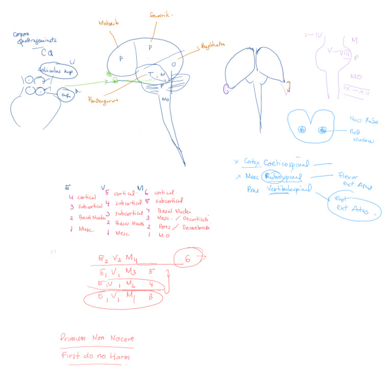 Gcs | PDF