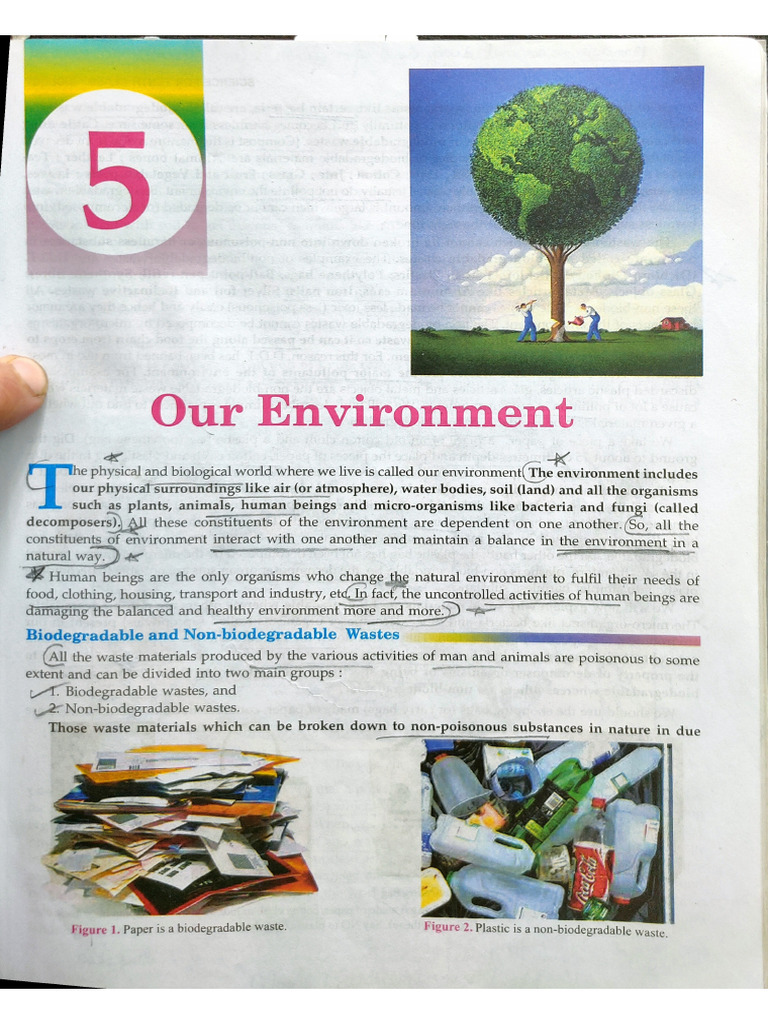 Our Environment - Notes | PDF
