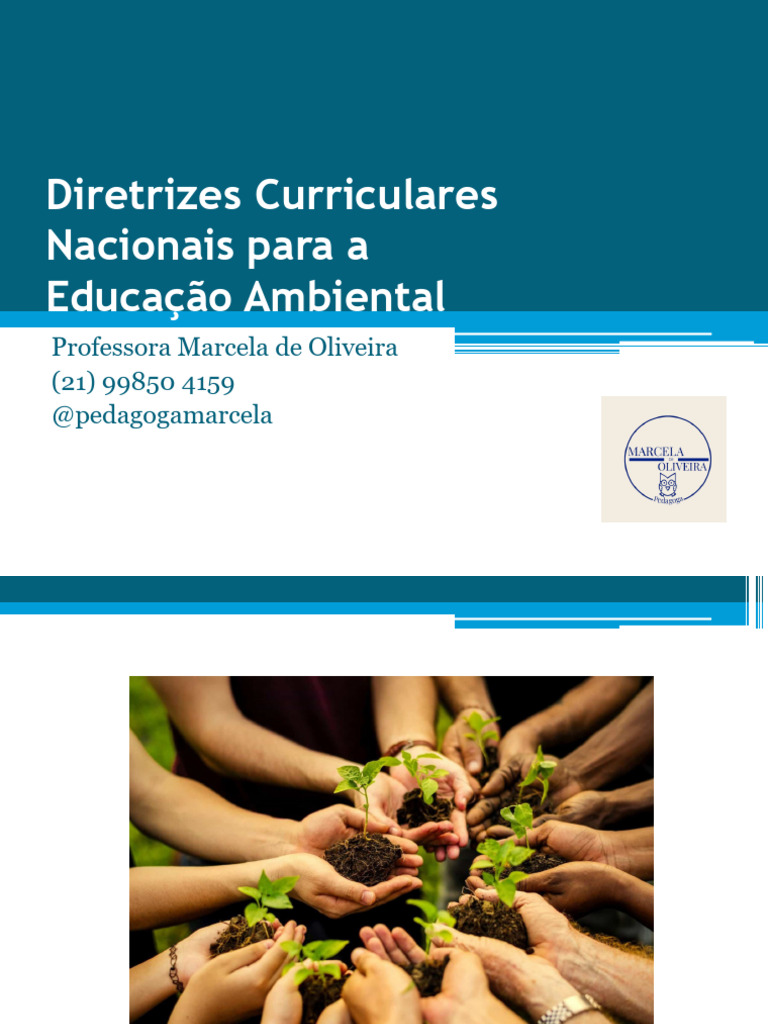 Diretrizes para Educação Ambiental no Brasil | PDF | Aquecimento global ...