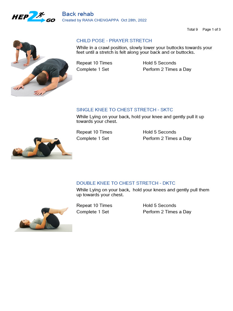Effective Home Back Rehab Exercises | PDF | Pelvis | Musculoskeletal System
