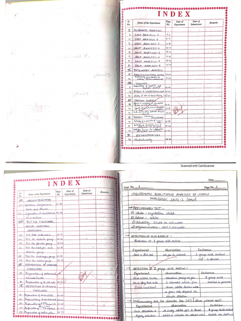 Chemistry Record Cbse 2 | PDF