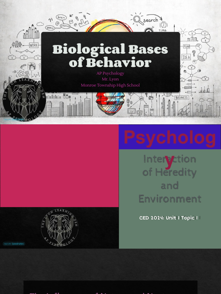 Unit 1 - Biological Bases of Behavior (2024 ONLINE) | PDF | Chemical ...