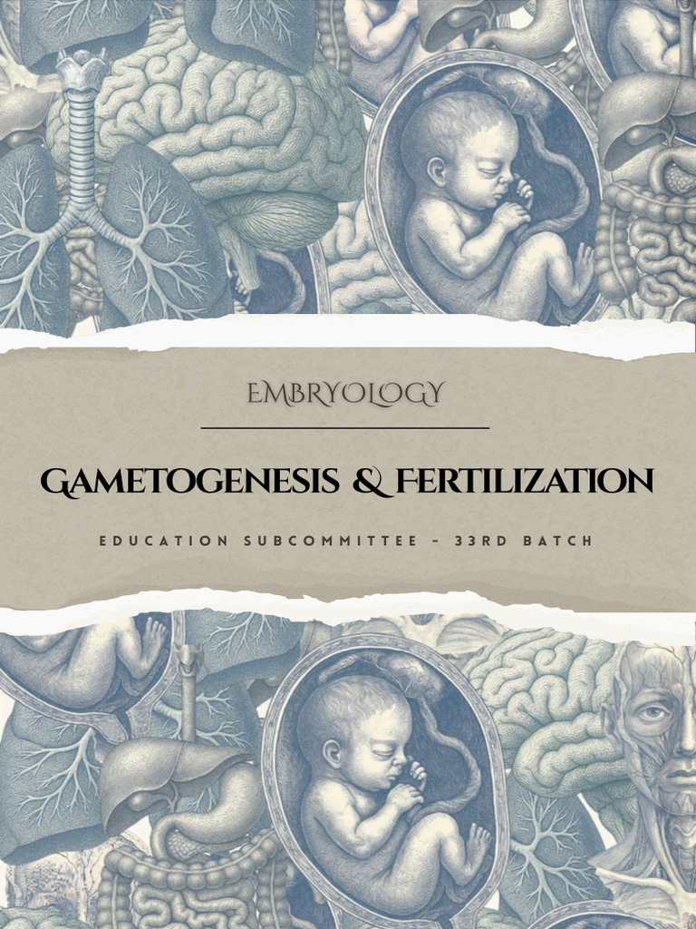 Gametogenesis and Fertilization - Kuppi 32 | PDF | Fertilisation | Meiosis
