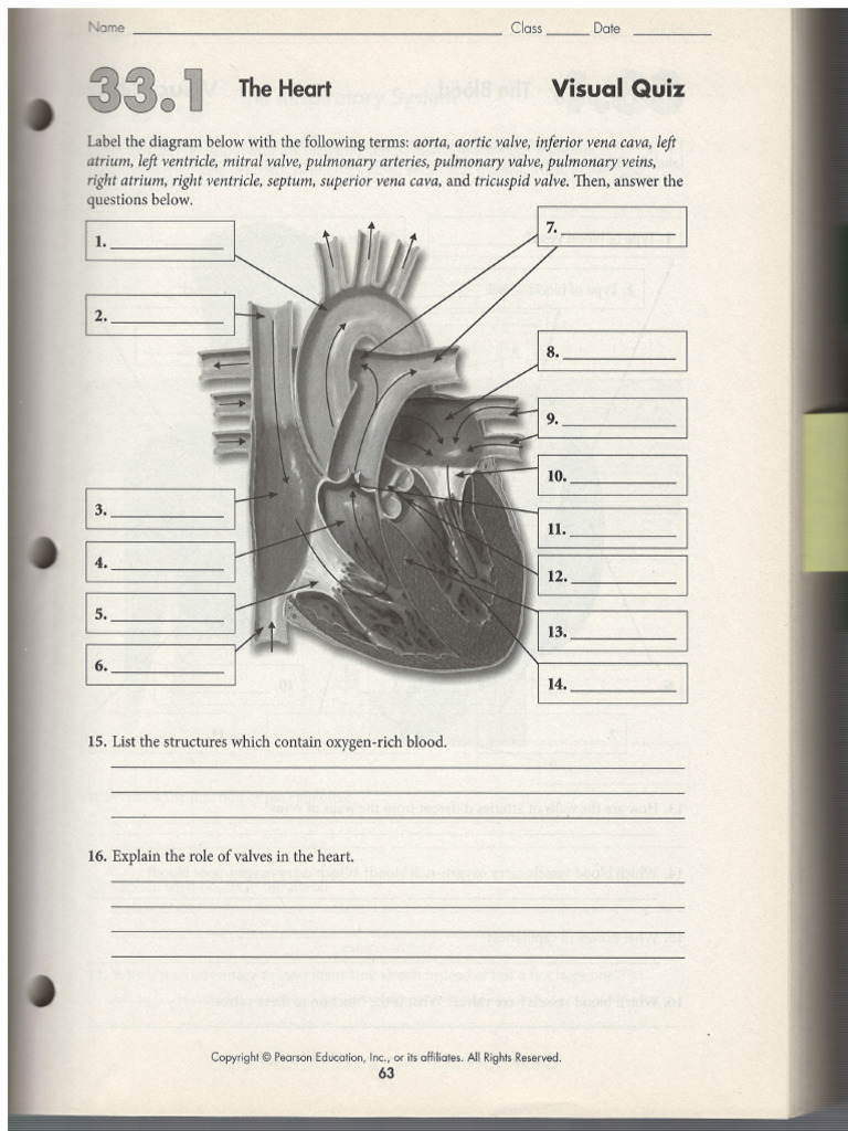 Biology Chapter 33 | PDF