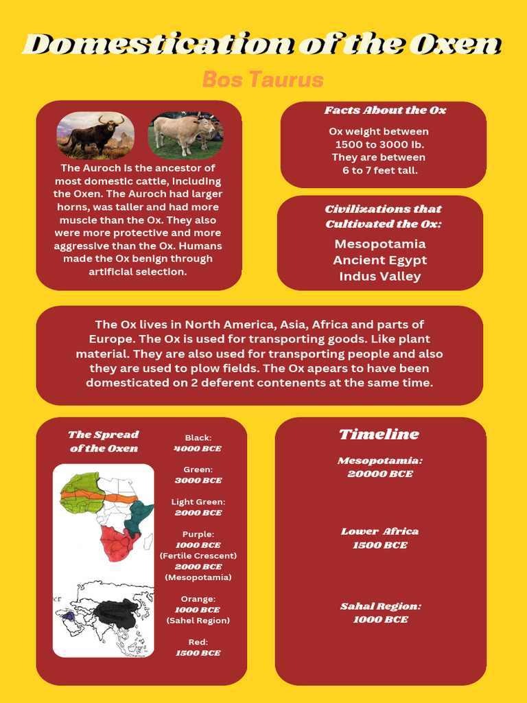 Domestication of The Oxen | PDF | Papyrus | Ancient Egypt