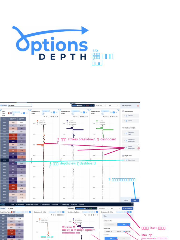 optionsdepth 简化说明 | PDF