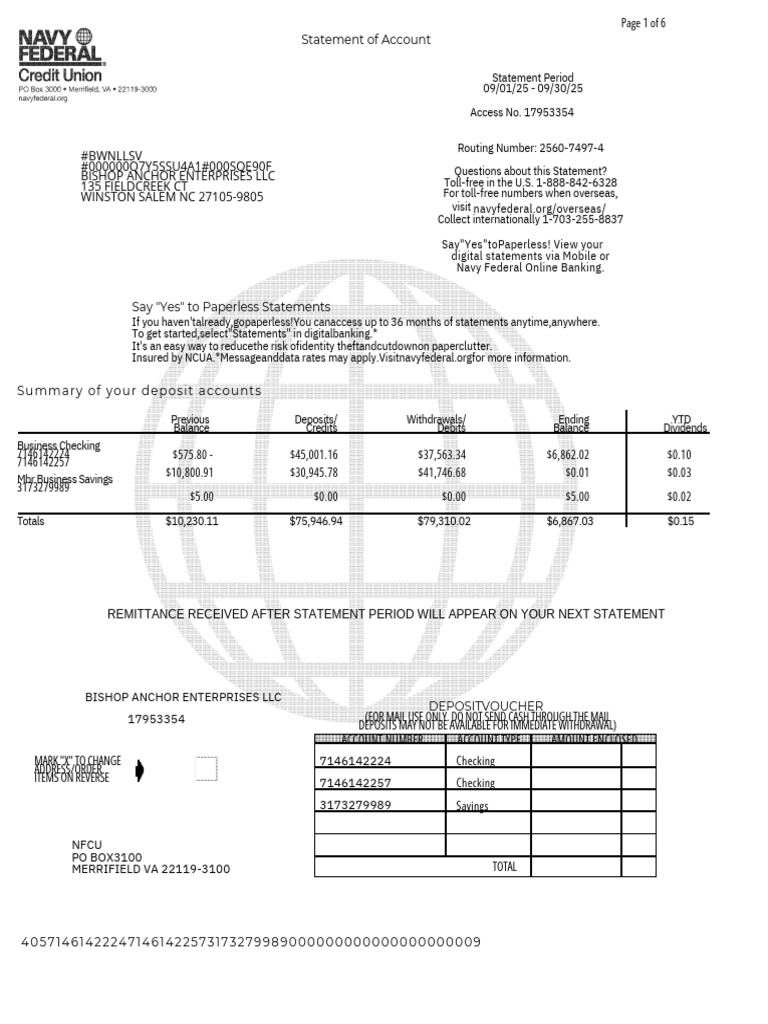 Business Account Statement Summary | PDF | Debit Card | Point Of Sale