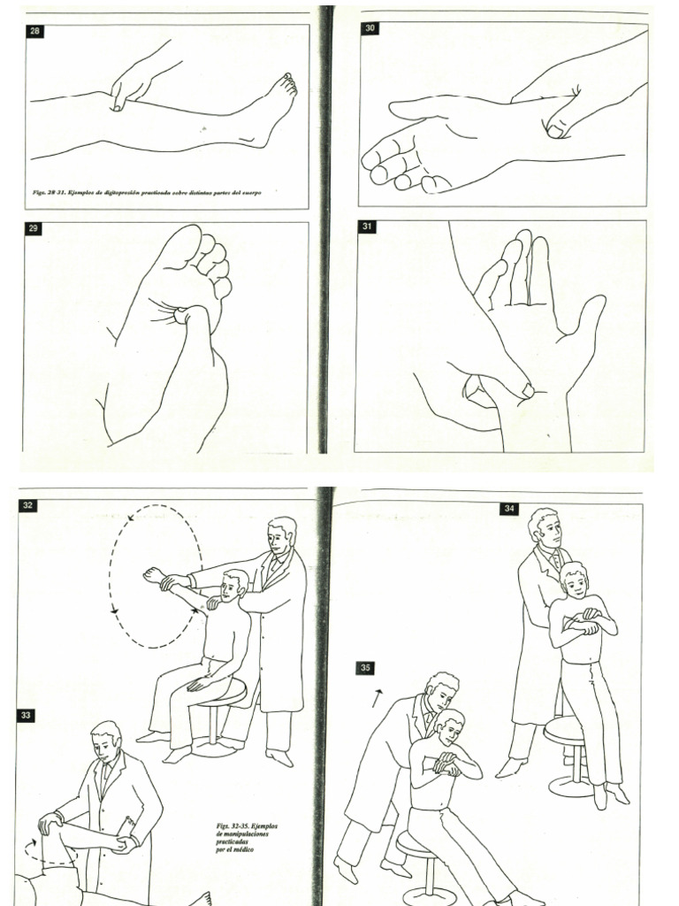 4 | PDF