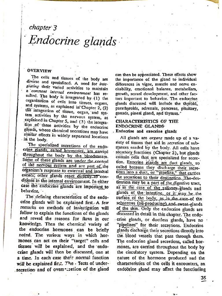 Endocrine Glands: Functions and Hormones | PDF | Endocrine System ...