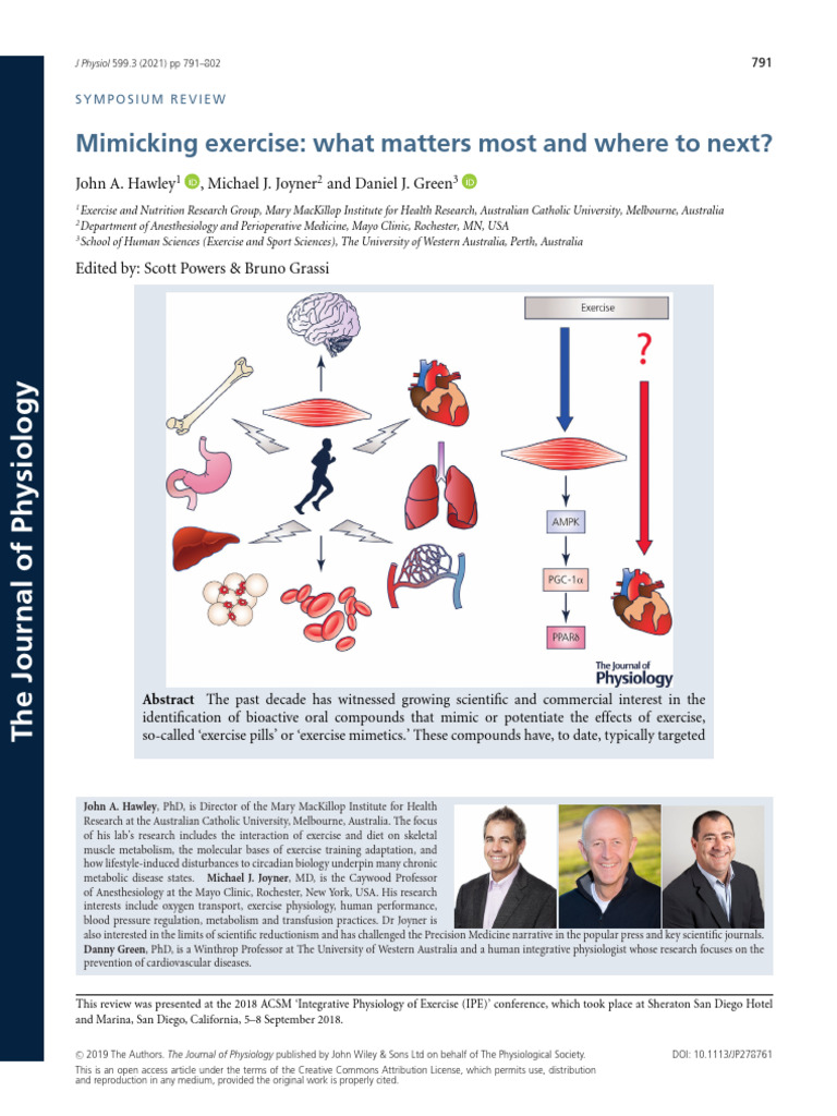 Exercise Mimetics: Challenges and Future Directions | PDF | Skeletal ...