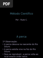 Método Científico