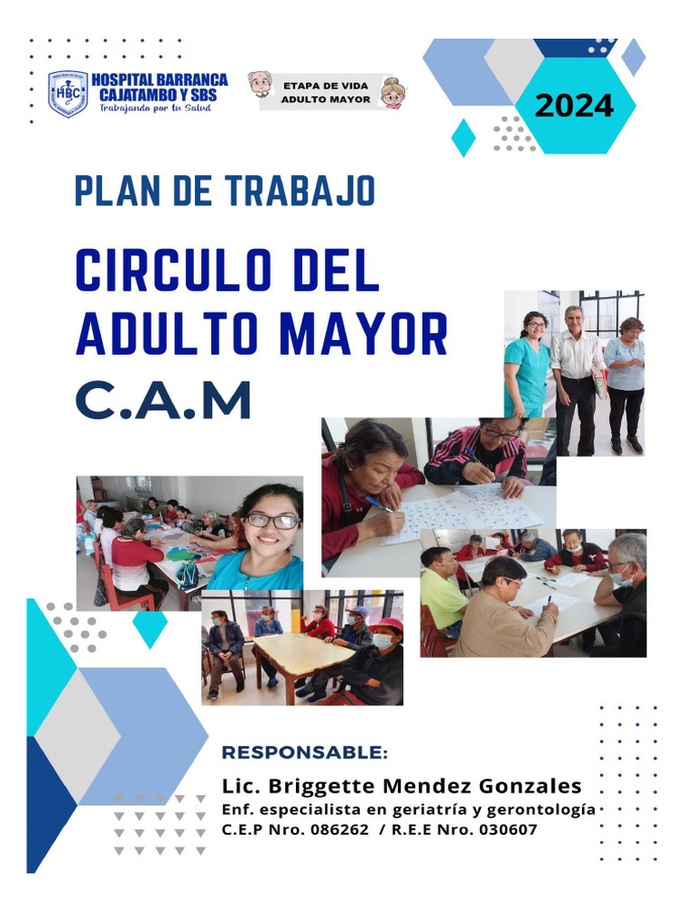 Plan de Trabajo para Adultos Mayores | PDF | Vejez